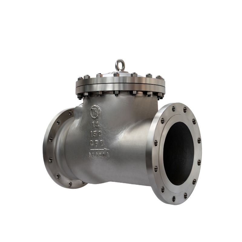 Bolted?Bonnet?Swing Check Valve (3)