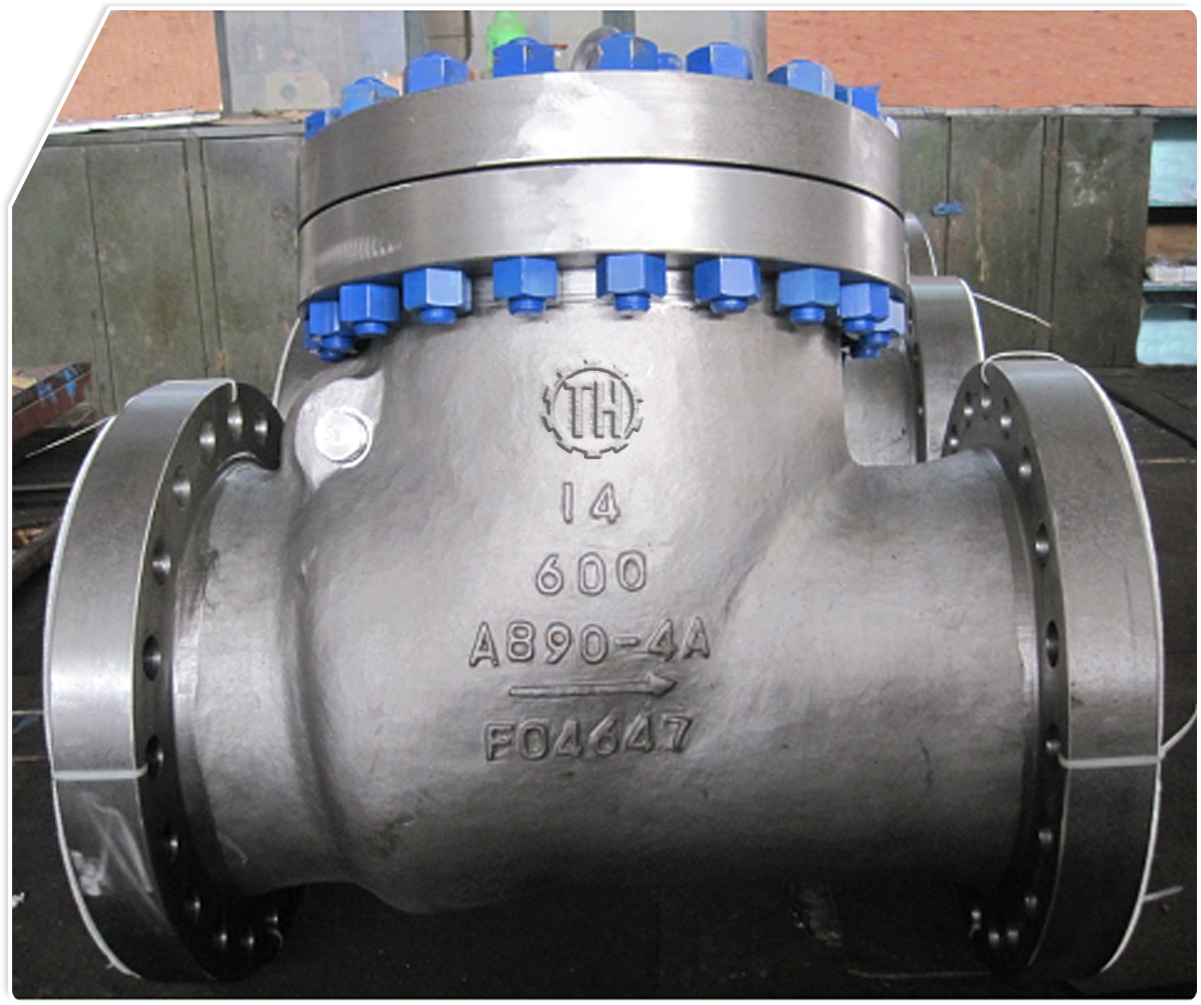 Bolted?Bonnet?Swing Check Valve (1)